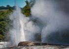 3 Pohutu Geyser.jpg